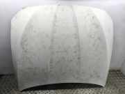 Motorhaube BMW 5er Touring (F11)