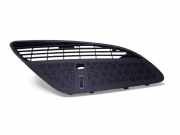 Frischluftgrill CITROËN C5 III (RD_) 2.0 HDi 180 9682419677