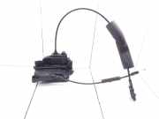 Türschloss hinten links RENAULT SCÉNIC III (JZ0/1_) 1.4 16V (JZ0F, JZ1V) 825030032R