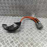 Motor Kabelbaum BMW iX1 (U11 BEV) xDrive 30 767005003AA 5A1C8E7