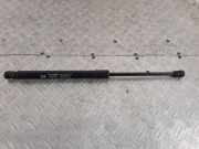 Heckklappendämpfer links Hyundai Santa Fe II (CM) 817702B000