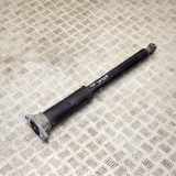 Stoßdämpfer hinten links MERCEDES-BENZ E Coupe (C238) E 220 d (238.314) A2383201700