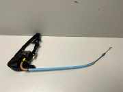 Türinnengriffrahmen hinten rechts BMW X7 (G07) xDrive 40 i Mild Hydrid 9881774