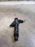 Hochspannungszündkabel (Steckkabel) CITROËN C5 II (RC_) 3.0 V6 (RCXFUF) 20306