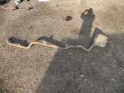 Auspuffanlage hinten Mercedes-Benz E-Klasse (W213) A2134918500