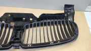 Vorderer oberer Gitter BMW 7 (E65, E66, E67) 730 Ld