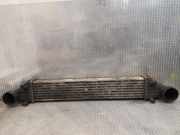 Ladeluftkühler MERCEDES-BENZ E (W211) E 220 CDI (211.006)