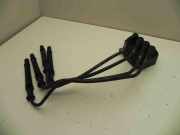 Zündspule Dacia Sandero I (BS) 8200734204