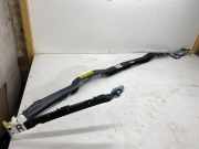 Dach SRS rechts VW PHAETON (3D_) 3.0 V6 TDI 4motion 3D1880742