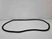 Türgummi links vorne Land Rover Range Rover Evoque I (L538) K8D220708AC