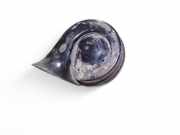 Hupe Audi A4 Avant (8E, B6) 8E0951223