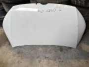 Motorhaube VW CADDY III Furgon (2KA, 2KH, 2CA, 2CH) 1.6 BiFuel