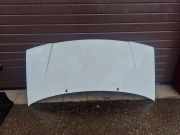 Motorhaube CITROËN JUMPY Furgon (BS_, BT_, BY_, BZ_) 2.0 HDi 110
