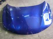 Motorhaube NISSAN QASHQAI II (J11, J11_) 1.6 dCi
