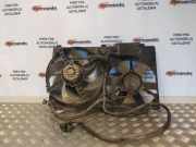 Kühlmodul Fiat Ducato Kasten (244)