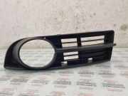 Gitter vorne unten VW TOURAN (1T1, 1T2) 1.9 TDI 1T0807665A