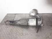 Stoßdämpfer links hinten VW Phaeton (3D)