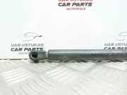 Heckklappe Gasdruckfeder rechts FIAT BRAVO I (182_) 1.6 16V (182.AB) 0320N