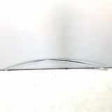 Dachleiste links TESLA MODEL 3 EV 1083519-00-C