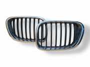 Vorderer oberer Gitter BMW X5 (E53) 3.0 i 8247674