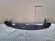 Kühlerluftumlenker MITSUBISHI GRANDIS (NA_W) 2.4 MIVEC (NA4W) MR958114