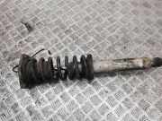 Stoßdämpfer links hinten Maserati Quattroporte V () 462400001480