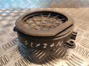 Türlautsprecher hinten links MERCEDES-BENZ C T-Model (S203) C 220 CDI (203.206) 2038201502