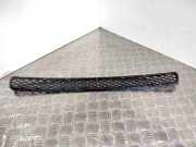 Gitter vorne unten BMW X3 (E83) xDrive 18 d 51113416512