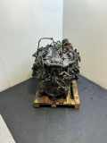 Motor BMW 6 (E63) 650 i N62B48