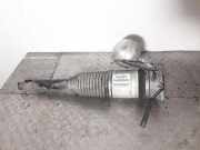 Stoßdämpfer hinten links