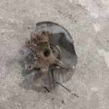 Achsschenkel (ABS) links vorne BMW 3er Touring (E46)