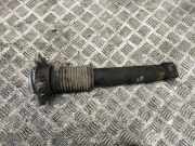 Stoßdämpfer hinten rechts