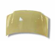 Motorhaube FIAT PANDA (169_) 1.3 D Multijet