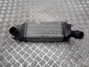 Ladeluftkühler Citroen C5 III Break (RW) 9657073480