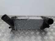 Ladeluftkühler Peugeot 407 () 9639027480