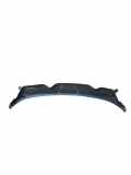 Grill Windlauf Ford EcoSport () CN15A02216