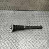 Stoßdämpfer links hinten Land Rover Discovery V (L462) HY3218W002BA