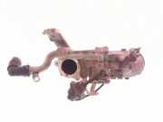 AGR-Kühler RENAULT ESPACE IV (JK0/1_) 3.0 dCi (JK0J, JK0V) 5923040