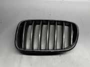 Gitter Grill vorne links BMW X3 (F25) xDrive 35 i 10627110