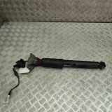 Stoßdämpfer links hinten Audi Q7 (4M) 4M0513021AE