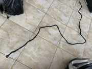 Schlauch für Zylinderkopfhaubenentlüftung Audi Q5 (8R) 80A201991M