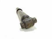 Stoßdämpfer hinten links