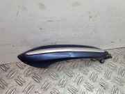 Türgriff links hinten BMW 7er (F01, F02, F03, F04)