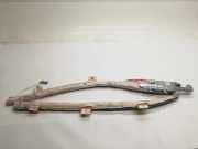 SRS Modul Dach links BMW 5 (F10) 520 d 306448910