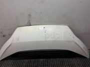 Motorhaube FIAT DUCATO Furgon (250_, 290_) 100 Multijet 2,2 D