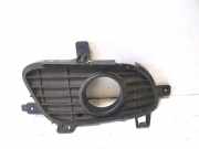 Blende Nebelscheinwerfer Mercedes-Benz A-Klasse (W169) A1698850622