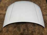 Motorhaube AUDI A8 D3 (4E2, 4E8) 4.0 TDI quattro