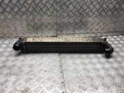 Ladeluftkühler VW SHARAN (7M8, 7M9, 7M6) 1.9 TDI
