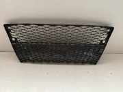 Kühlergrill unten Lexus IS 3 (E3) 5211253060