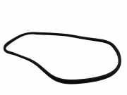 Türgummi links vorne Citroen DS5 ()